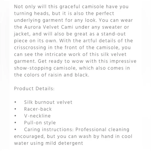 Johnny Was Aurora Velvet Tank with Lace Up Detail - Picture 3 of 6